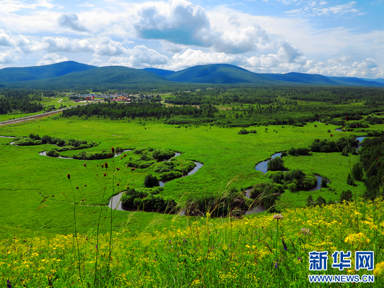 多彩夏季 極致草原