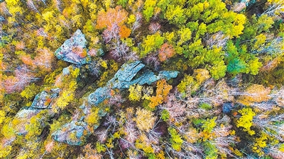 600公里的“移動(dòng)畫(huà)廊”